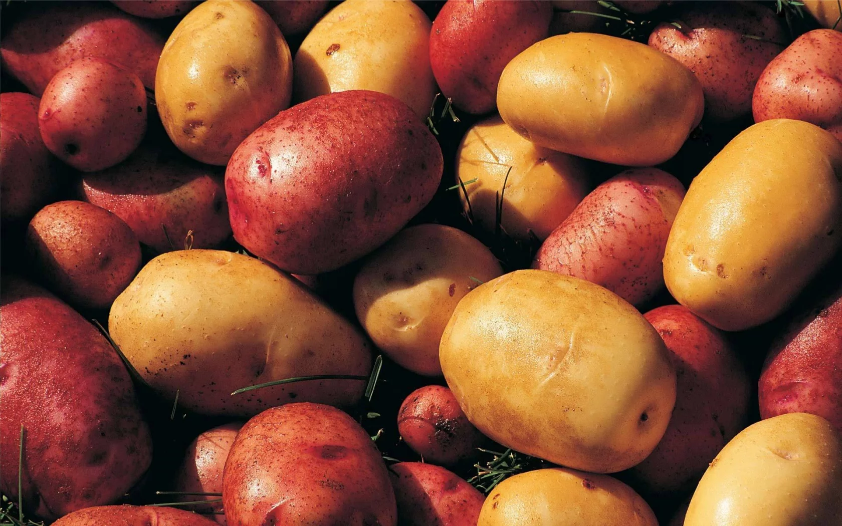 фон, potatoes, картофель