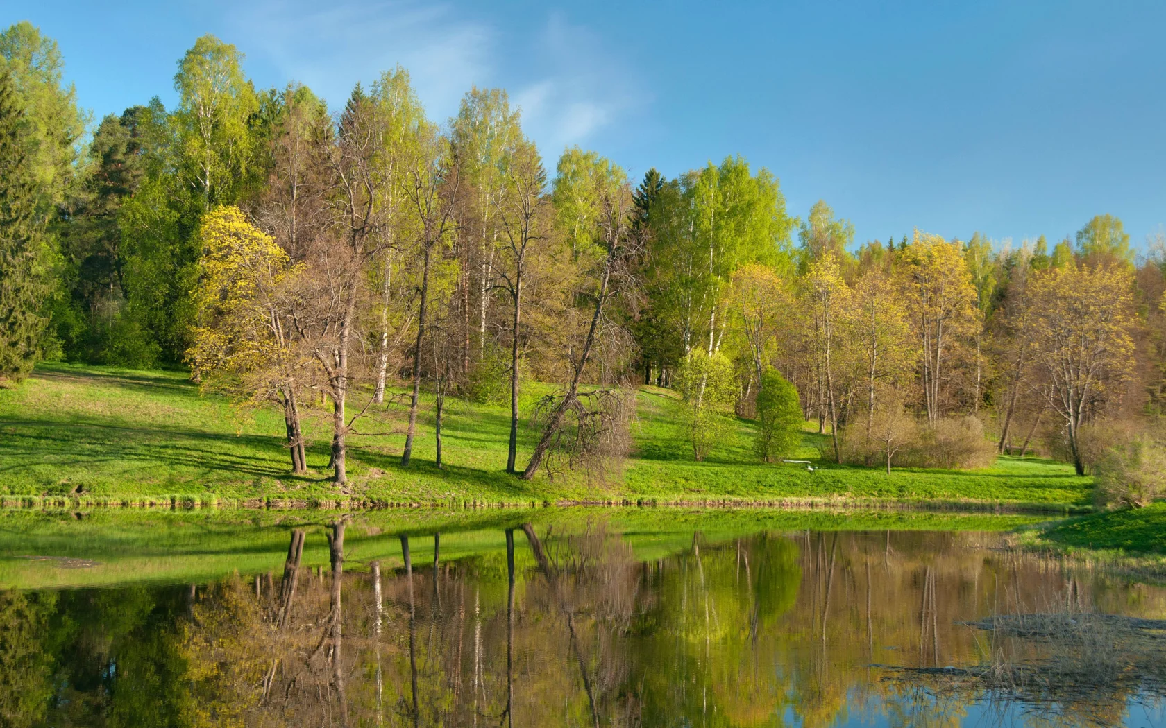 лес, парк, природа, река, деревья