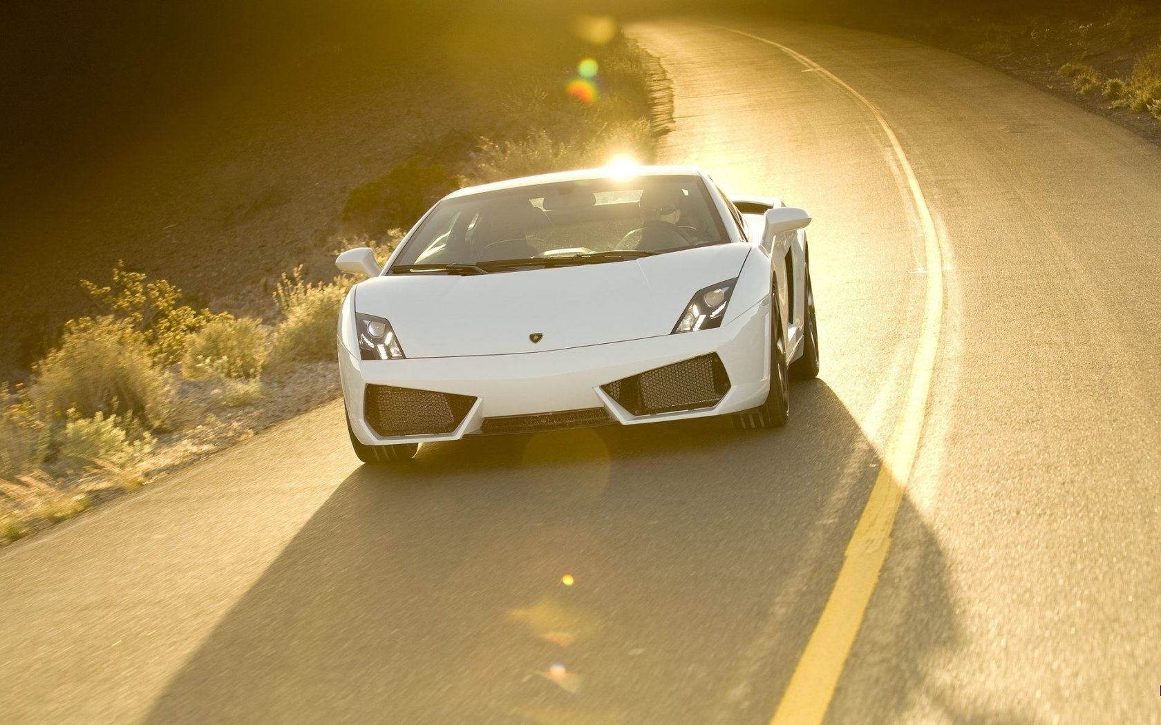 Lamborghini Gallardo lp560 4 White