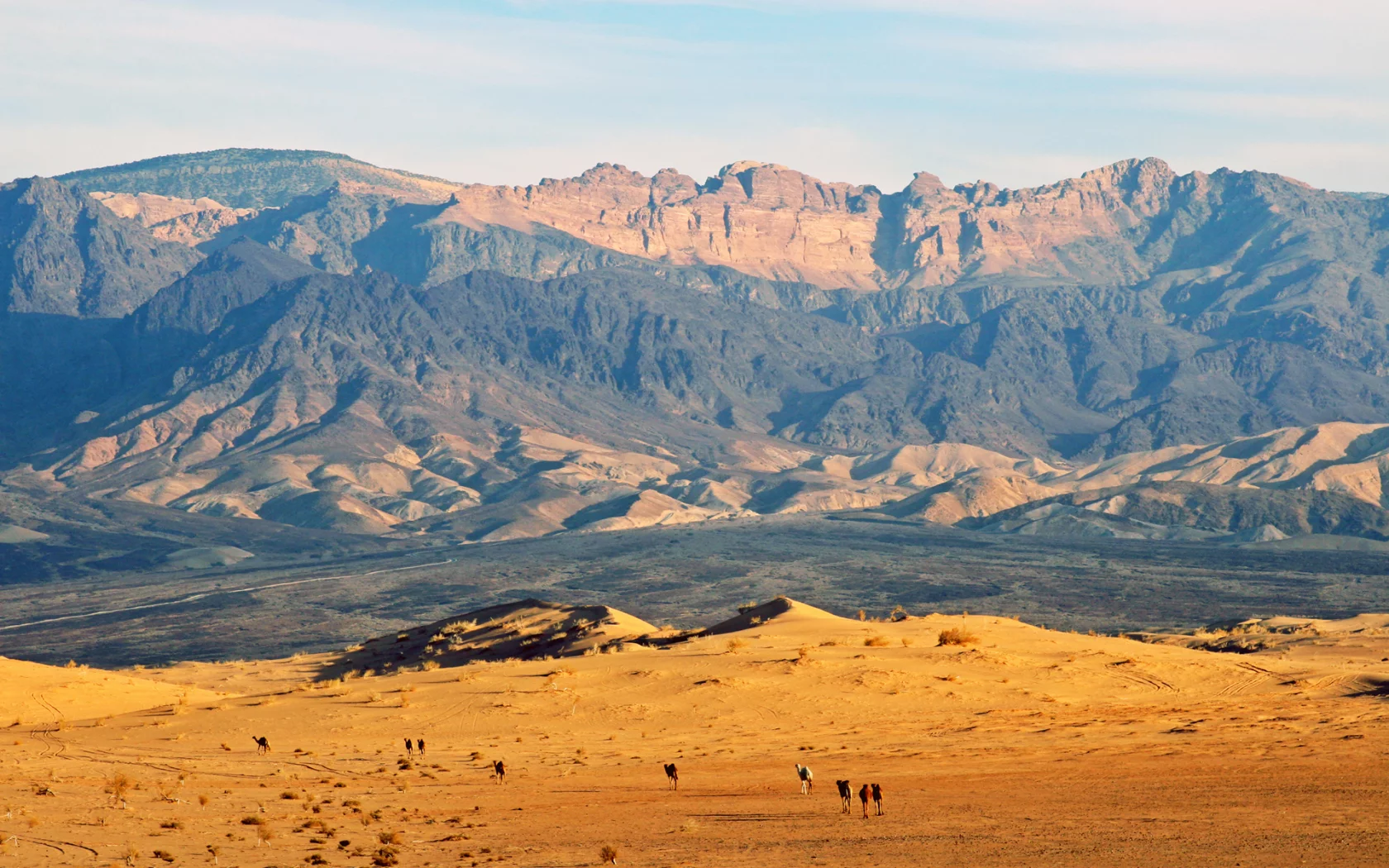 верблюды, пустыня, jordan, горы, иордания