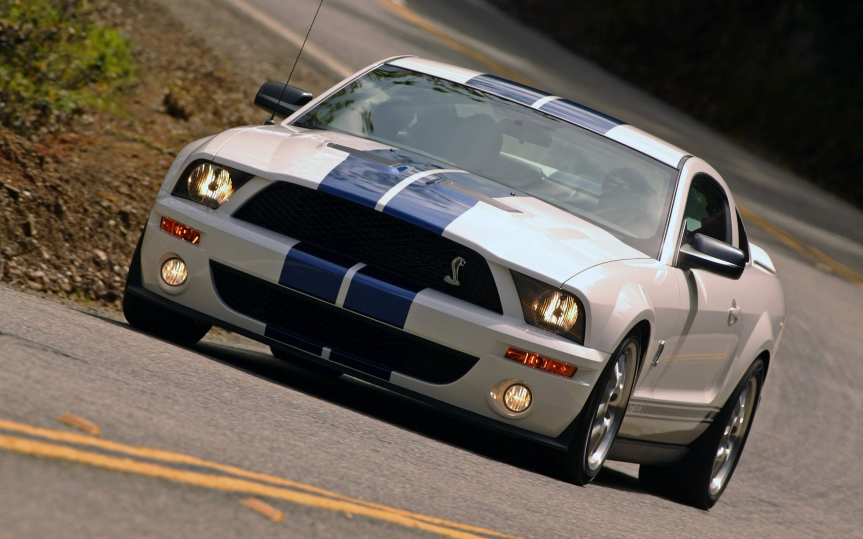 Ford Shelby Cobra gt500 1967