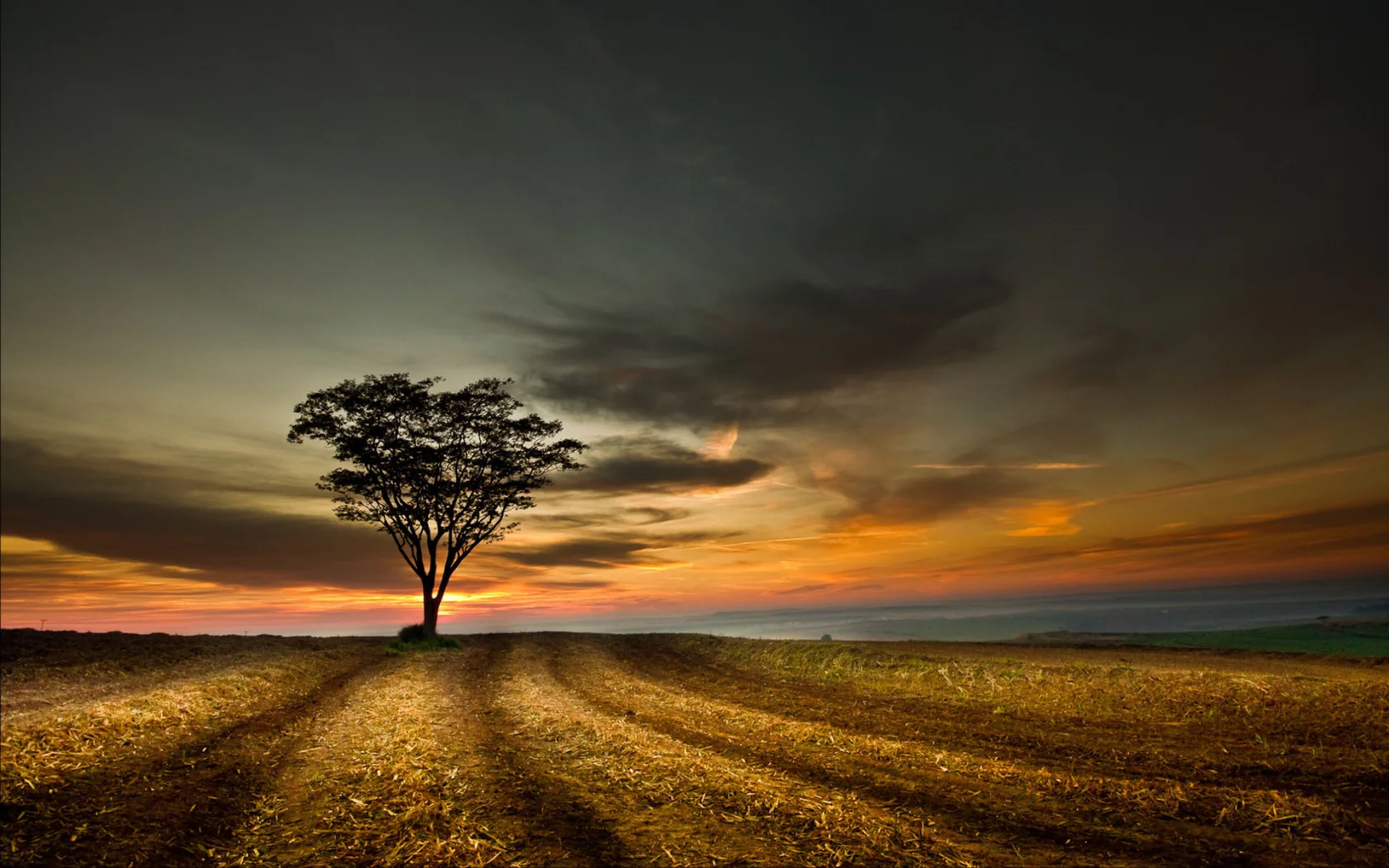 поле, небо, tree, landscape, sky, дерево, sunset, облака, hill, пейзаж, nature, clouds, природа, закат, 1920x1200