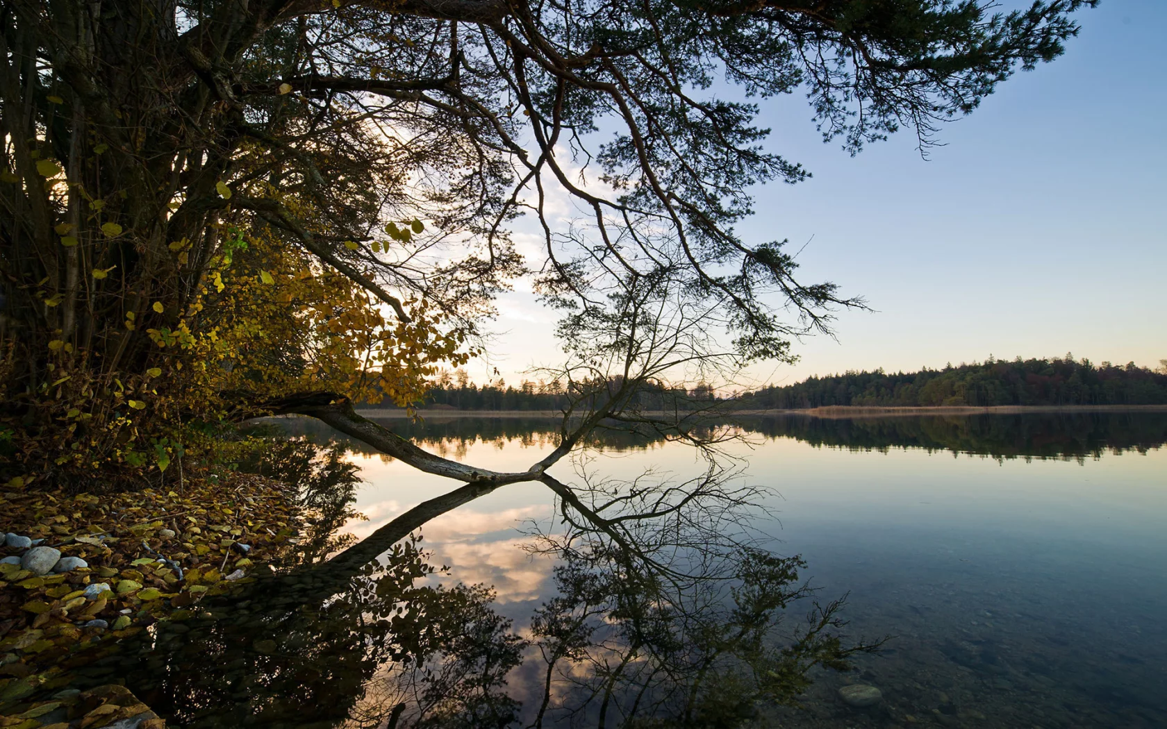 вода, отражение, shore, trees, небо, water, берег, природа, forest, деревья, 1920x1200, sky, лес, lake, nature, пейзаж, озеро, landscape, reflection