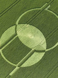 круги, нло, поле