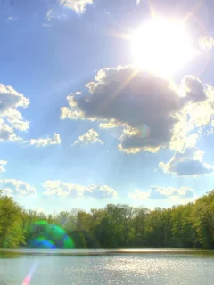 река, солнце, лето, небо, берег, облака, лес