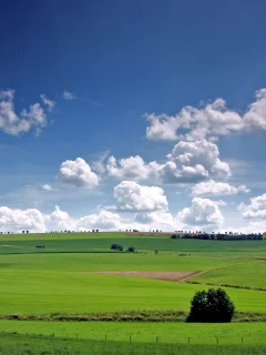небо, поля, деревья, долина, облака