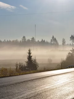 туман, дорога, утро
