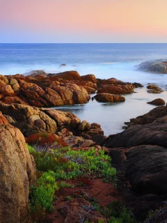 побережье, море, камни, берег, австралия