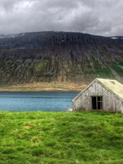 north atlantic, island, nobody needs dramatic sheep