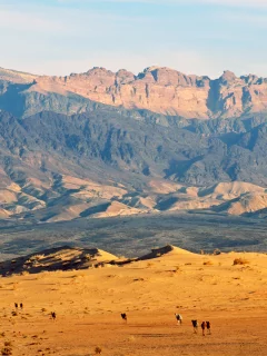 верблюды, пустыня, jordan, горы, иордания