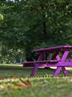 фиолетовая, макро, природа, скамейка, природа