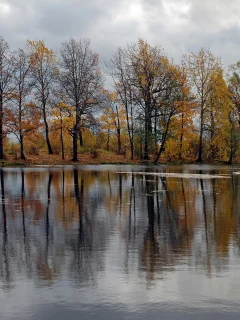 лес, вода, осень, отражение, речка, деревья, небо