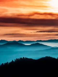 лес, туман, thoughful horizon, небо