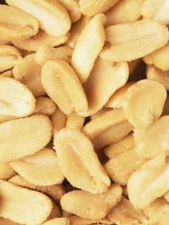 еда, арахис, орехи, макро, вкусно, соленый