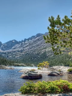 деревья, горы, река, камни, сосна, лес
