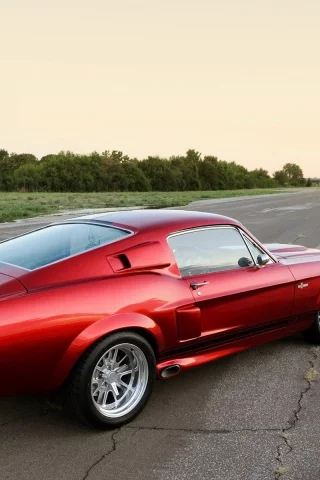 cr, angle, shelby, gt500, rear