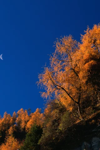 осень, скалы, autumn