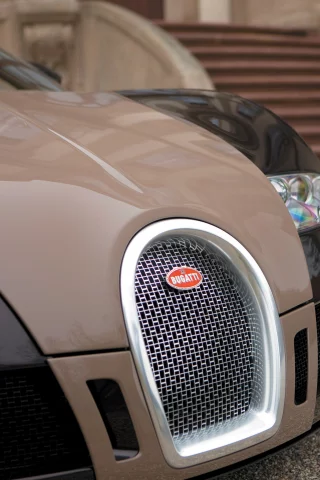 ступеньки, bugatti, значок, veyron, фары, перед, дом, радиатор