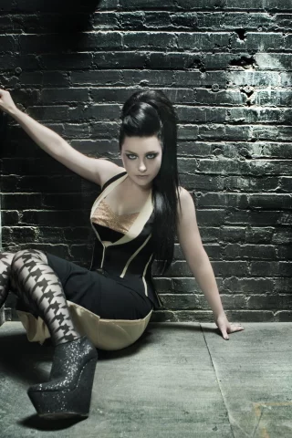 певица, amy lee, эми ли, evanescence
