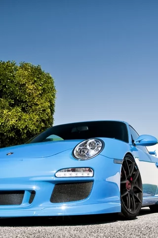 дерево, голубой, забор, передок, суперкар, tuning, 911, порше, porsche, тюнинг, небо