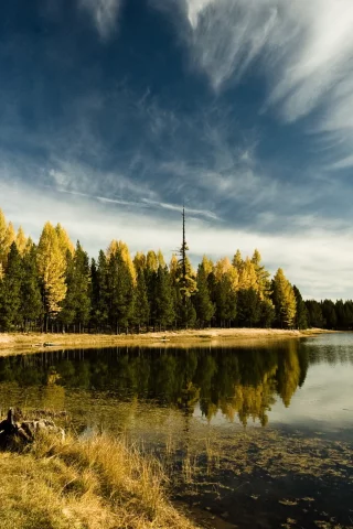 пейзаж, озеро, небо, деревья