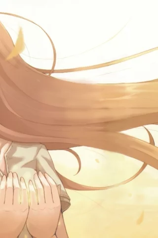 wolfgirl, horo, волчица и пряности, spice and wolf