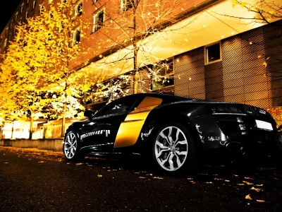 wallpapers, auto, огни, cars, audi r8, ночь, деревья, city, город, обои авто