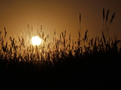 солнце, закат, тень