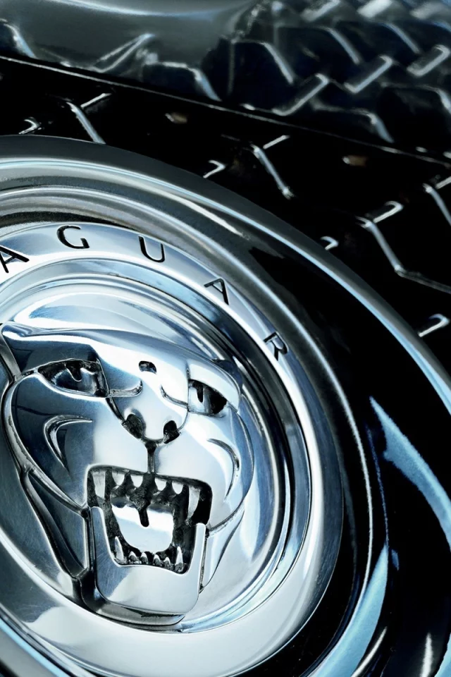 авто, jaguar, логотип