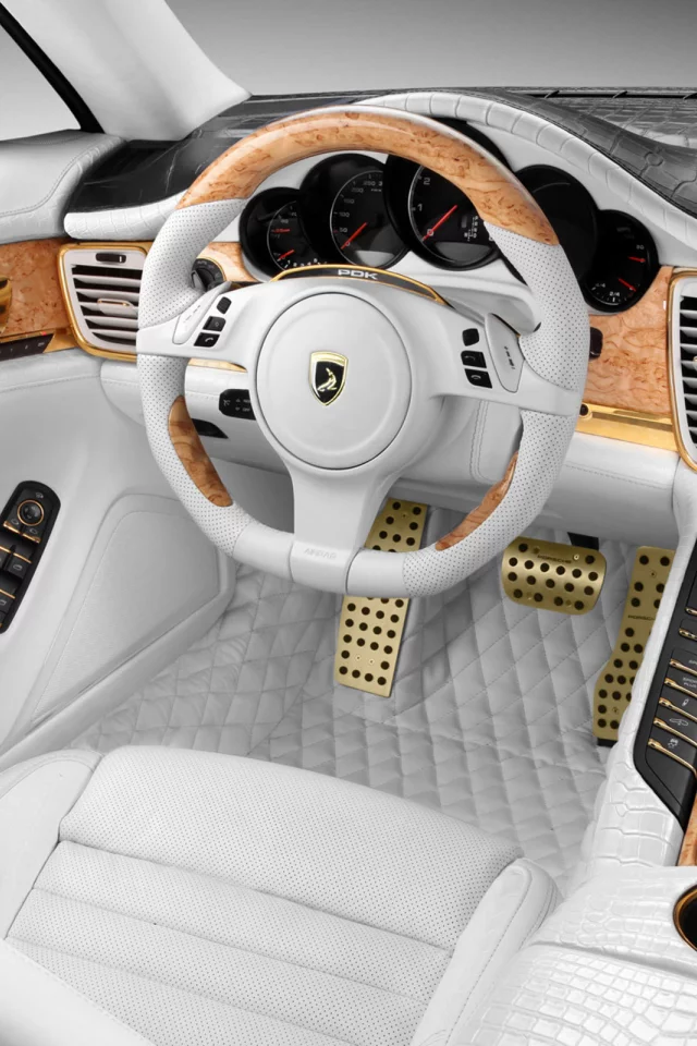 мечта, золото, крокодиловая, салон, panamera, кожа, porshe, эксклюзив
