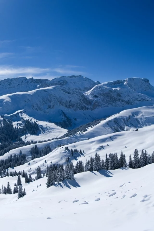снег, горы, деревья, лучи солнца