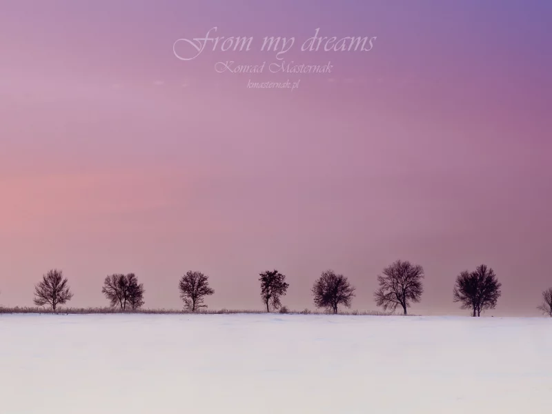 from my dreams, деревья, зима