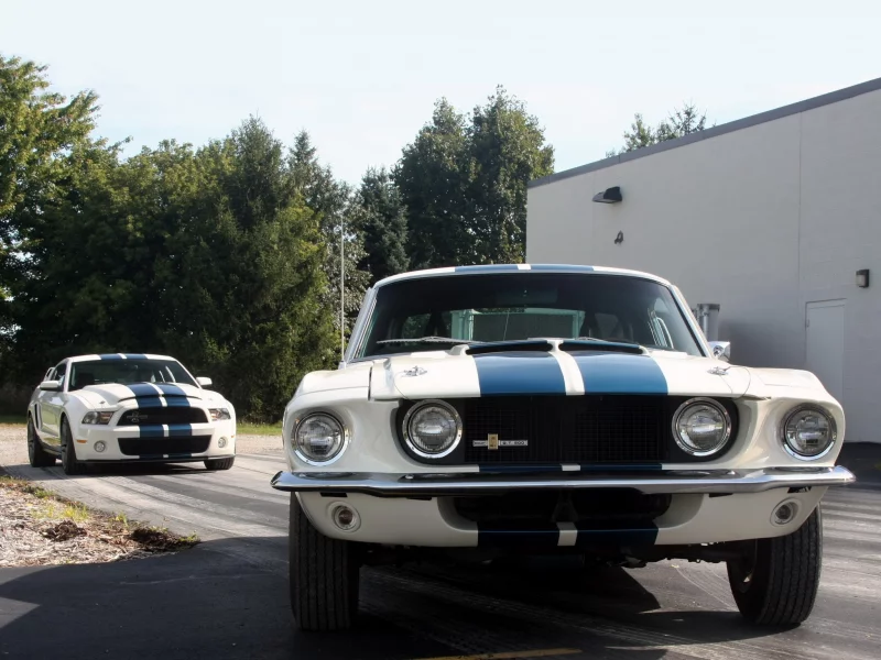 shelby, ford, разные поколения, деревья, мустанг, класика, mustang, старый и новый, gt500, полосы, гт500, форд