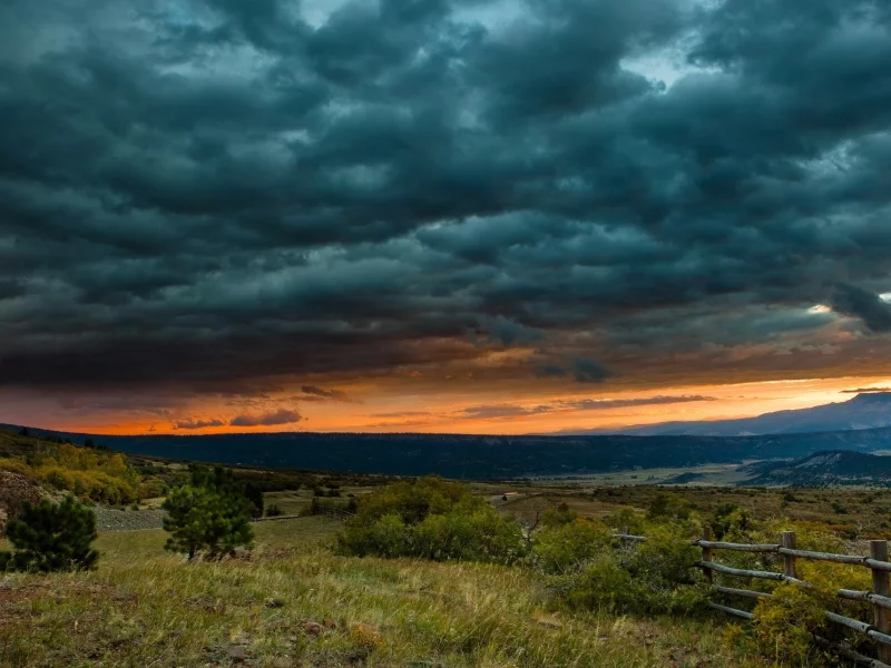 трава, забор, clouds, кусты, тучи, sunset, закат, пейзаж, sky, небо