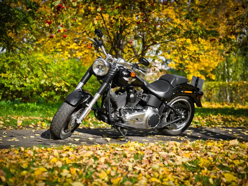 special, harley-davidson, fat boy