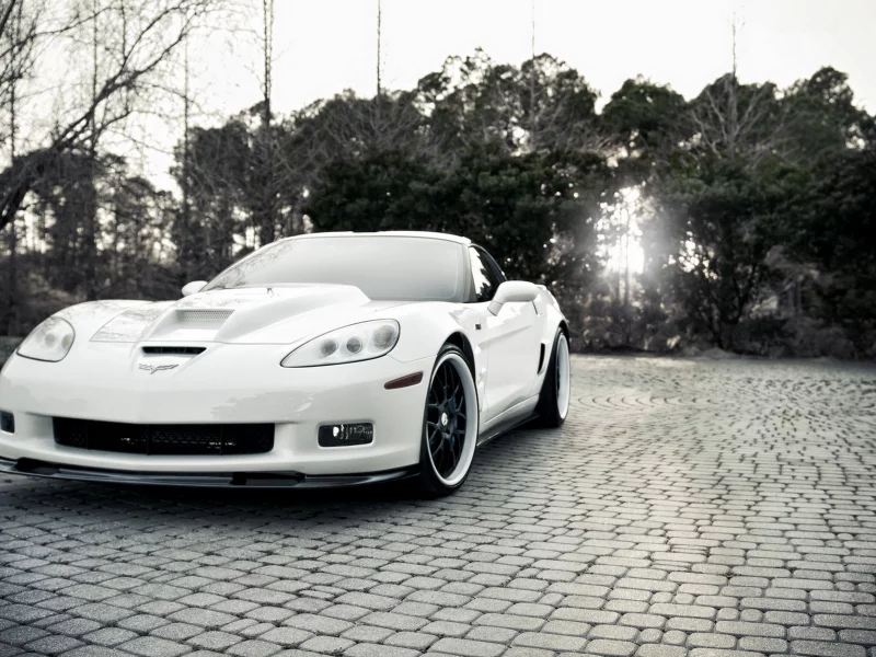 corvette, белая, деревья, черно-белый, chevrolet, zr1, свет