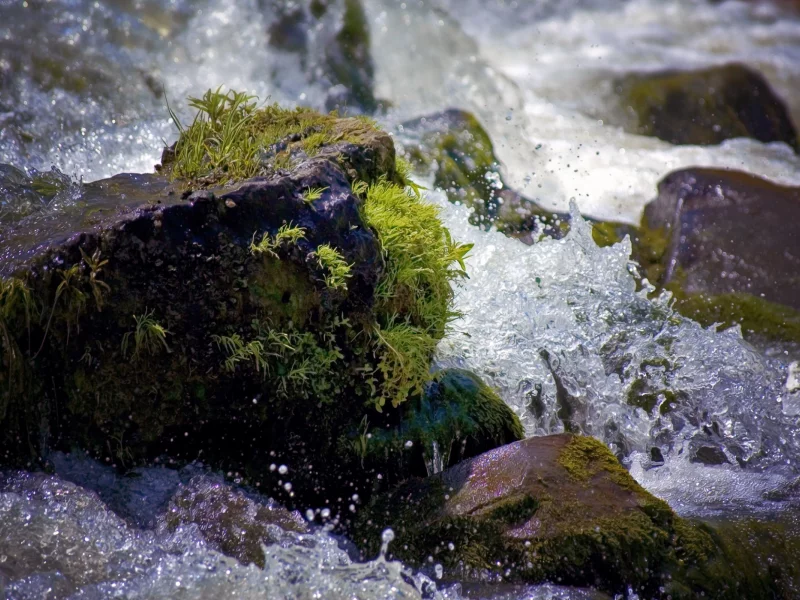 пейзаж, природа, вода, мох, брызги, камни, капли