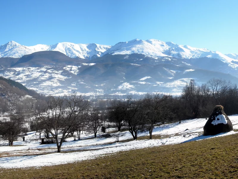 panorama, mountain, spring
