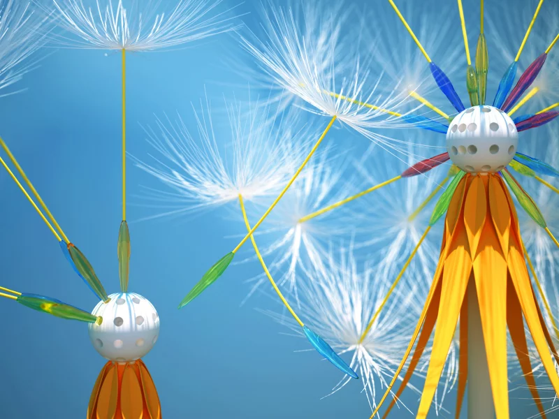 dandelion seeds, летает, одуваньчик