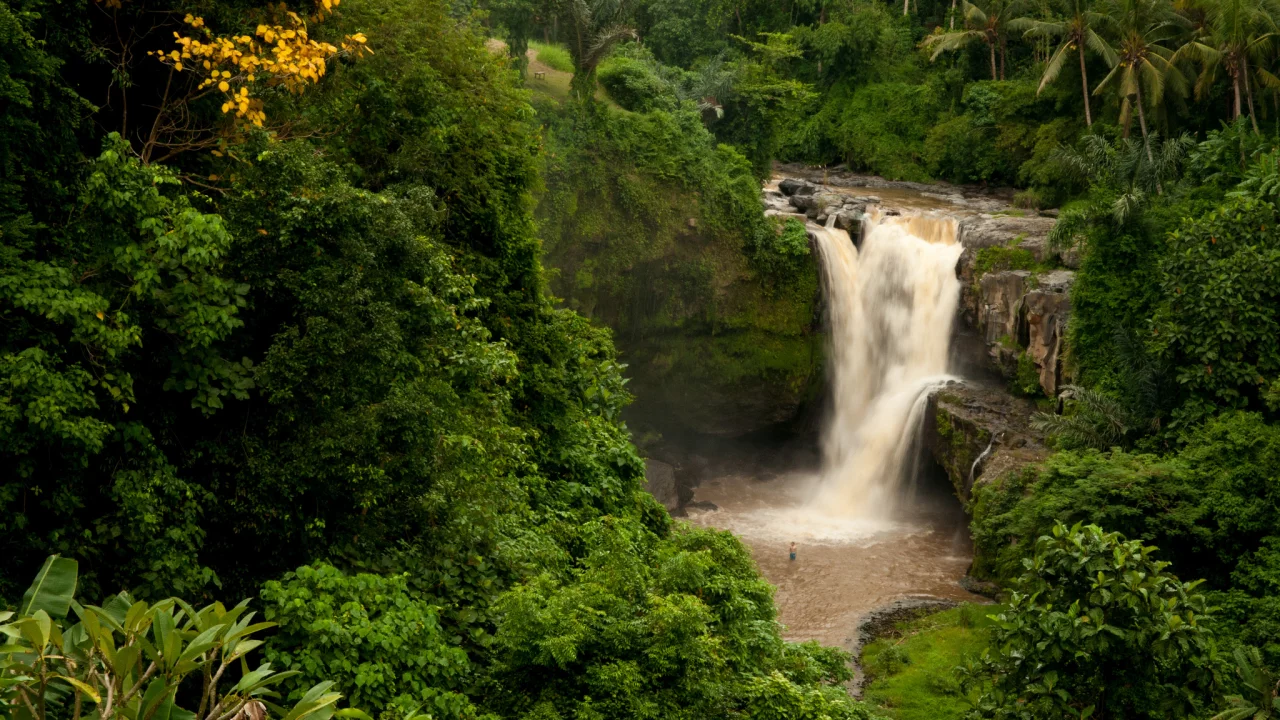 водопад, лес, бали, индонезия, bali, tegenungan waterfall, indonesiа