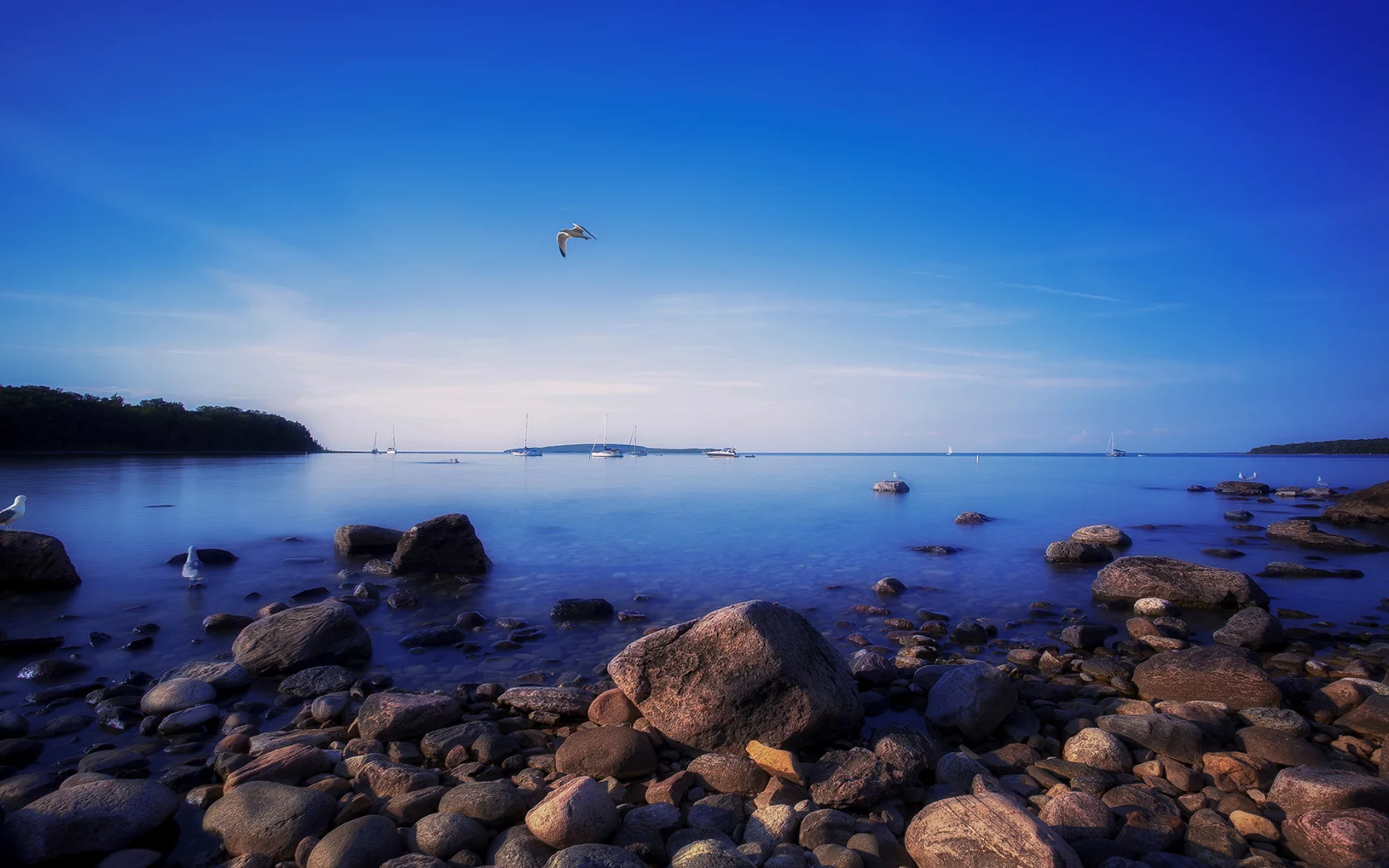 awenda provincial park, природа, небо, ontario, canada, чайки, камни