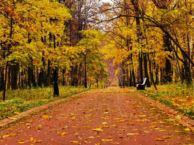 одиночество, настроение, лес, парк, лавка, скамейка