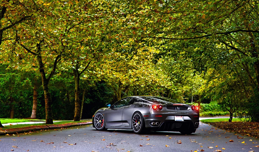 autumn, leaf, ferrari, tuning, 430, asphalt, trees, wheels, green, silver
