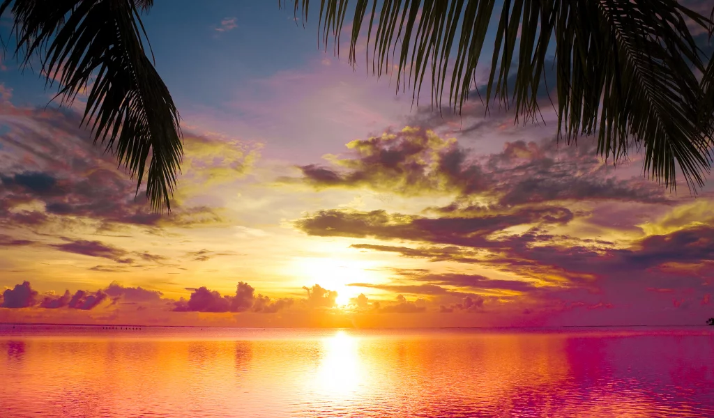 scene, water, landscape, sea, nature, clouds, sunset between palms, sky, beautiful