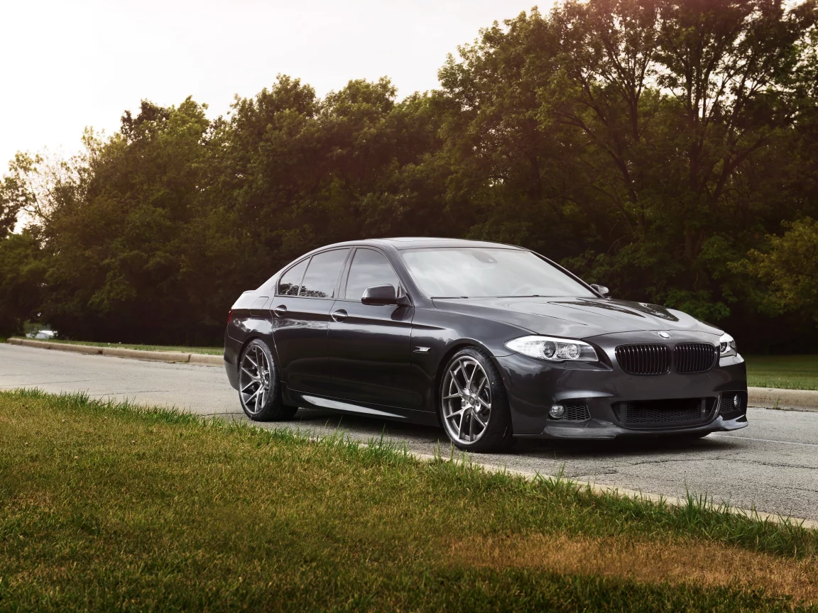 деревья, чёрный, дорога, grass, f10, 550i, black, bmw, бмв, трава, trees
