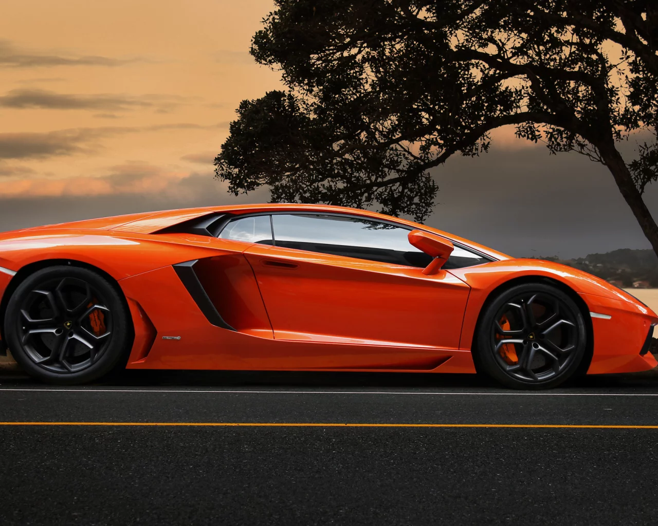 sky, supercar, aventador, tree, orange, lamborghini, ламборгини, lp700-4