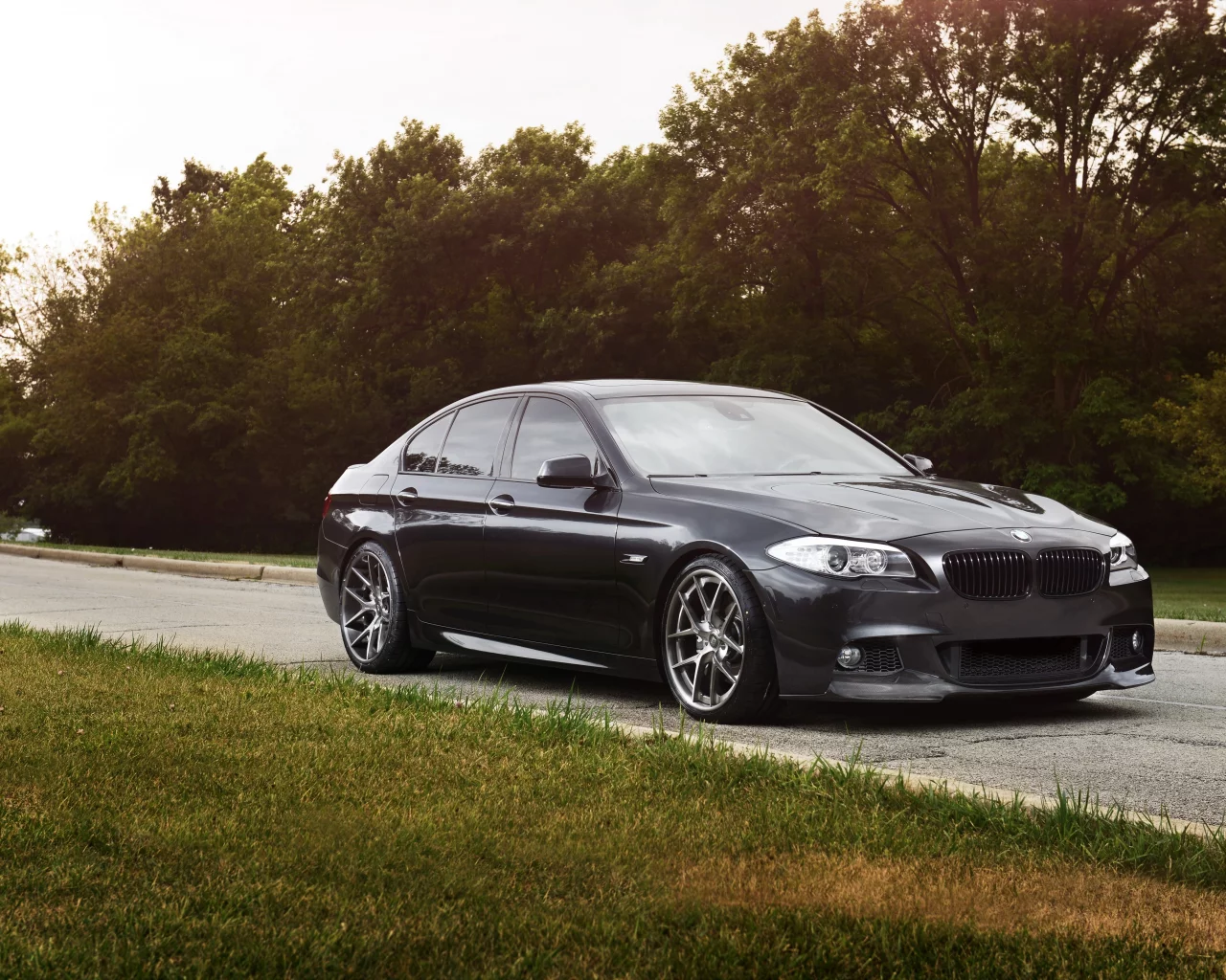 деревья, чёрный, дорога, grass, f10, 550i, black, bmw, бмв, трава, trees
