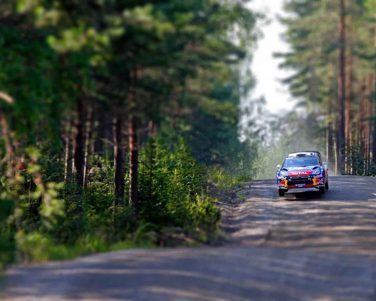 летит, ds3, гонка, wrc, лес, скорость, tilt- shift, rally, citroen