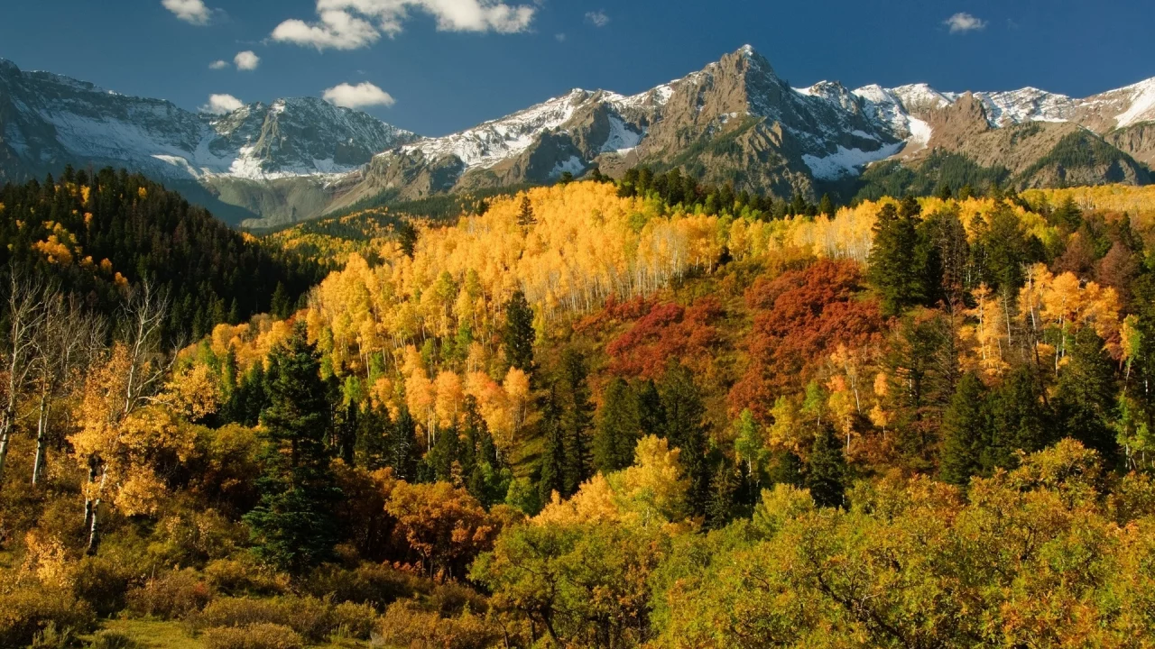 деревья, осень, san juan mountains, лес, горы