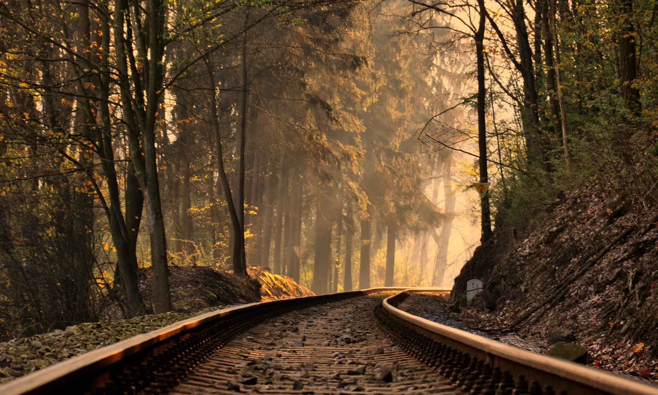 деревья, landscape, природа, rails, nature, slope, пейзаж, trees, рельсы
